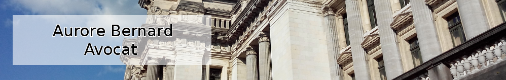 Coupole du Palais de justice de Bruxelles Avocat Aurore BERNARD de Bruxelles